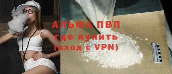 стаф Дмитровск