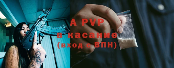 твердый Дмитров