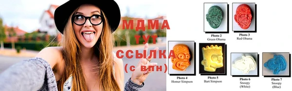 стаф Дмитровск