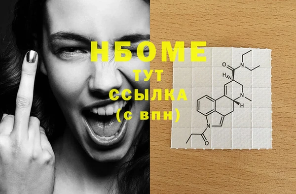 стаф Дмитровск