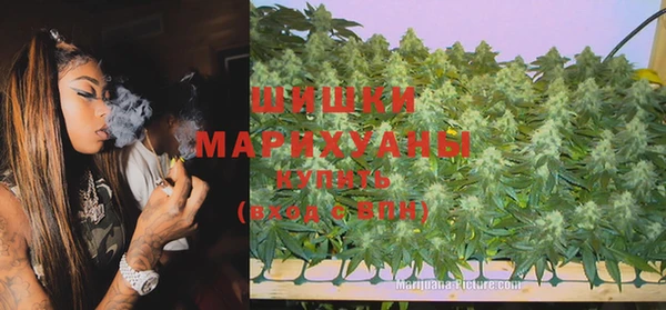прущая мука Дмитриев