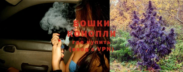 прущая мука Дмитриев