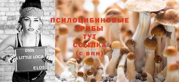 стаф Дмитровск