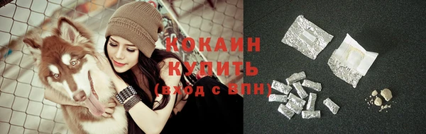 прущая мука Дмитриев