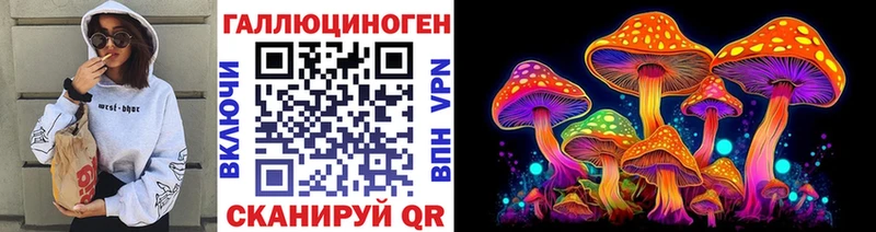 Псилоцибиновые грибы Psilocybine cubensis  Купить  Славск 